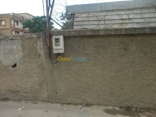Vente Terrain Blida Larbaa