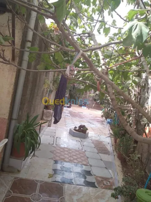 Vente Niveau De Villa F7 Blida Mouzaia