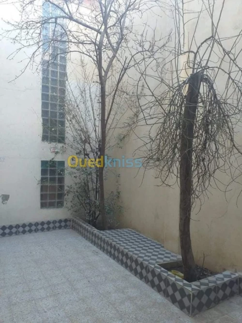 Vente Duplex F5 Khenchela Khenchela