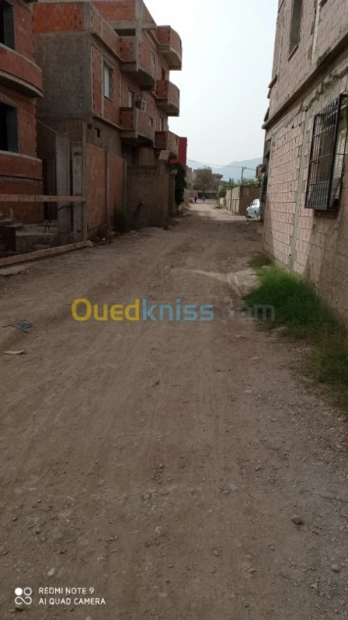 Vente Terrain Blida Larbaa