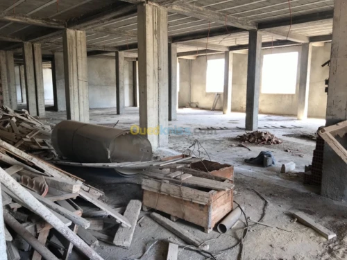 Location Immeuble Alger Les eucalyptus