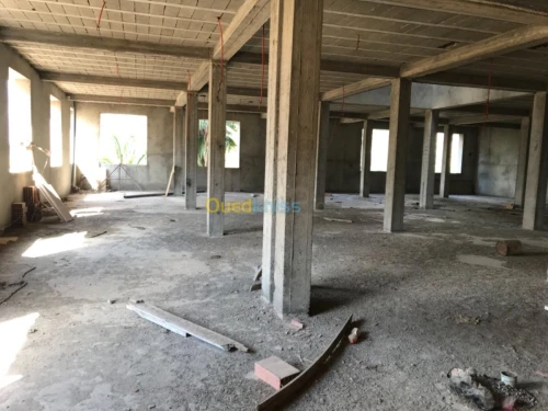 Location Immeuble Alger Les eucalyptus