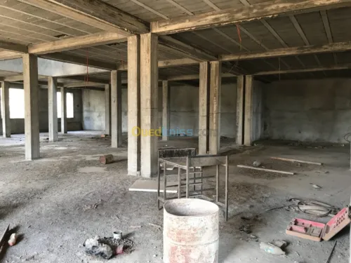 Location Immeuble Alger Les eucalyptus