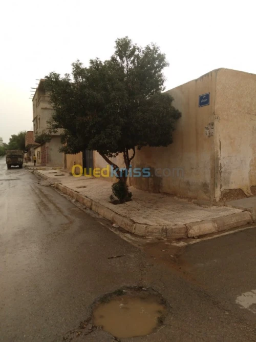 Vente Studio Tiaret Sougueur