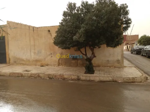 Vente Studio Tiaret Sougueur