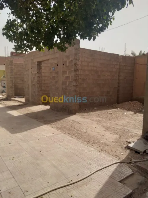 Vente Niveau De Villa F10 Biskra Doucen