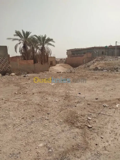 Vente Niveau De Villa F10 Biskra Doucen
