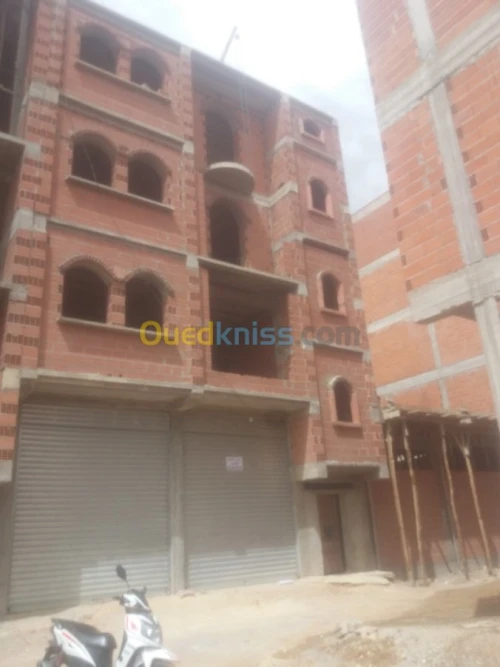 Vente Carcasse Setif Guelta zerka