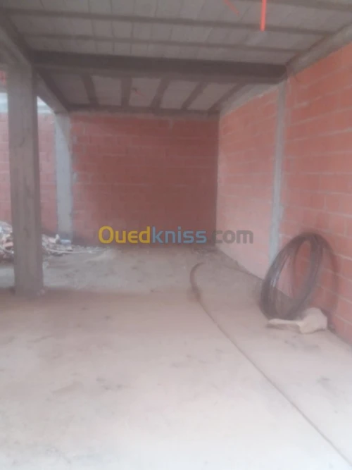 Vente Carcasse Setif Guelta zerka