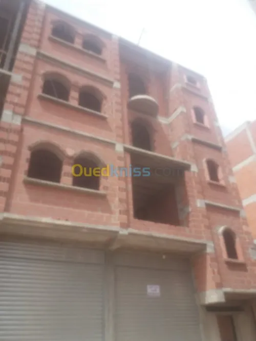 Vente Carcasse Setif Guelta zerka