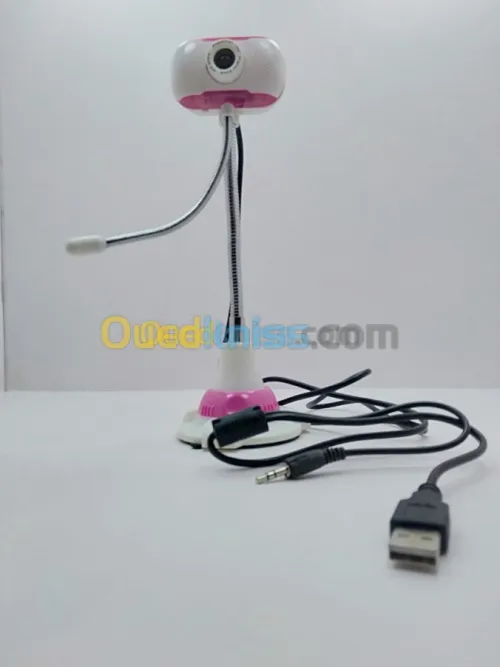 Web Cam USB + Micro Phone