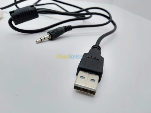 Web Cam USB + Micro Phone