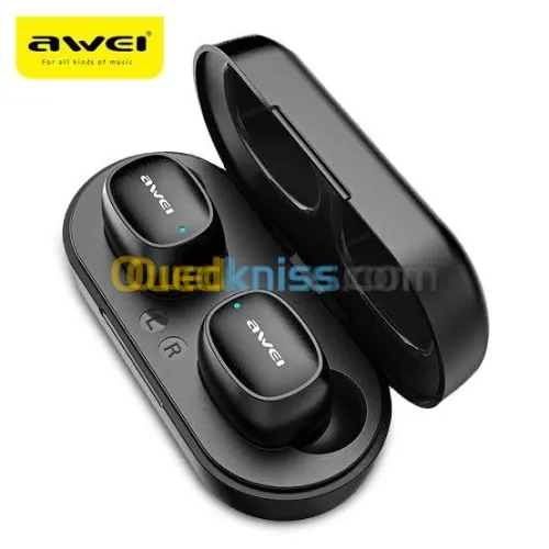 Awei t13