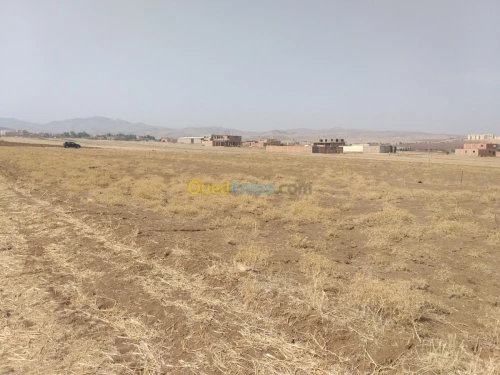 Vente Terrain Chlef Harchoun