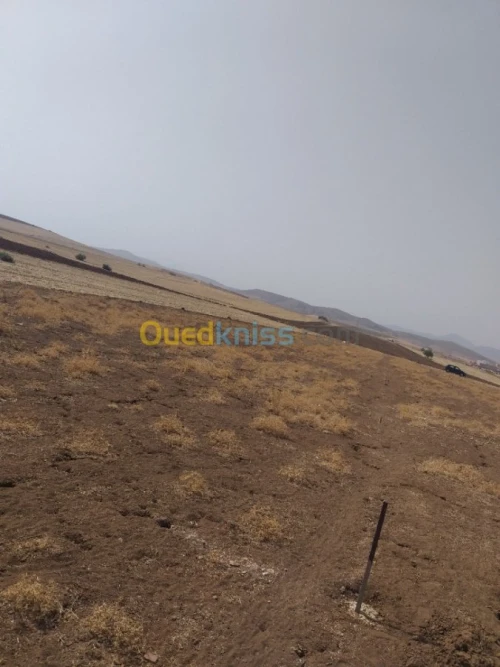 Vente Terrain Chlef Harchoun