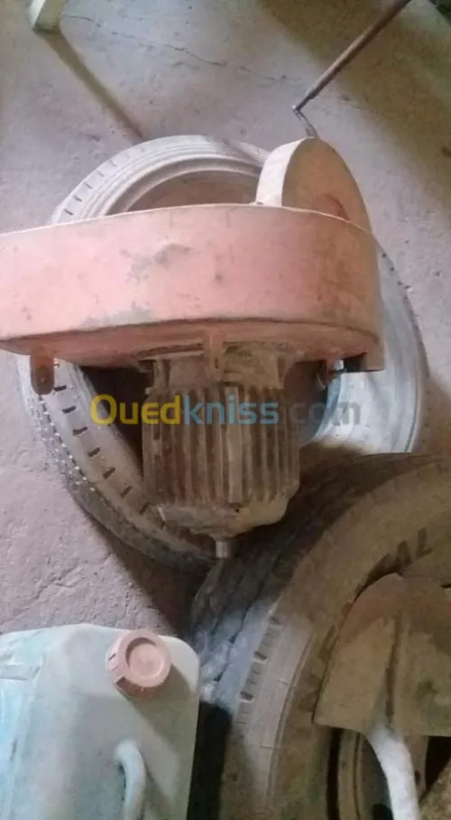 Vente Carcasse Djelfa Hassi bahbah