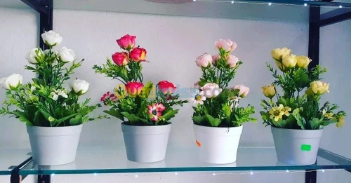 Plantes artificielles