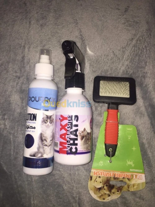 Équipement pour chat à vendre