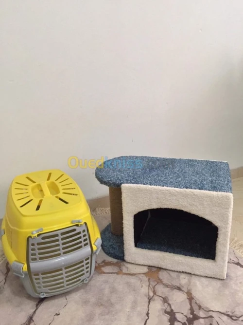 Équipement pour chat à vendre