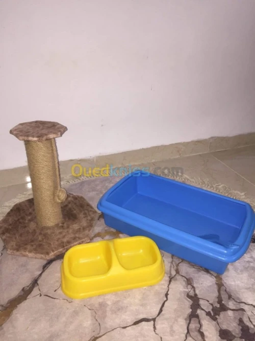 Équipement pour chat à vendre