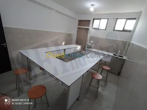 Paillasses de laboratoires