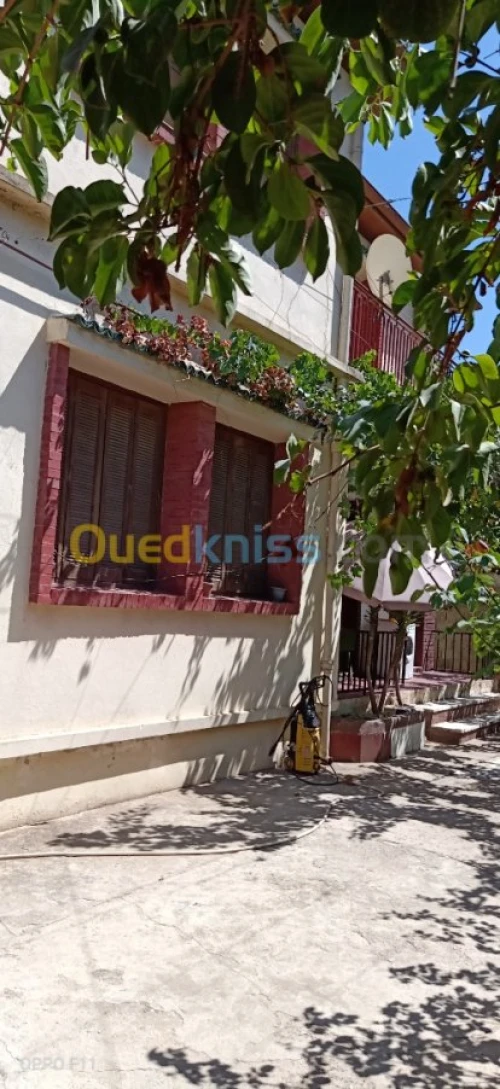 Vente Villa Alger Rouiba