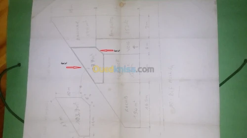 Vente Terrain Tlemcen Remchi
