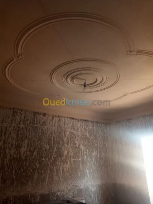 Plâtrier plater جبس 