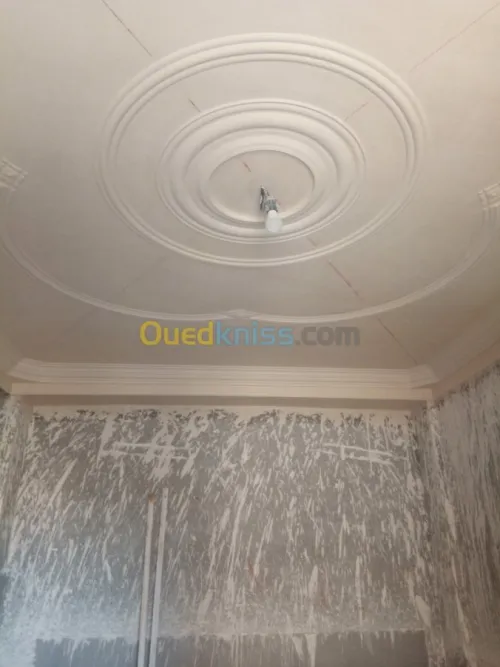 Plâtrier plater جبس 