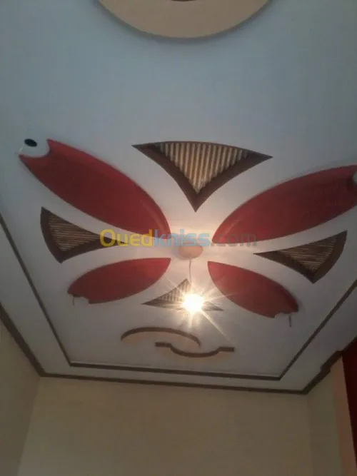Plâtrier plater جبس 
