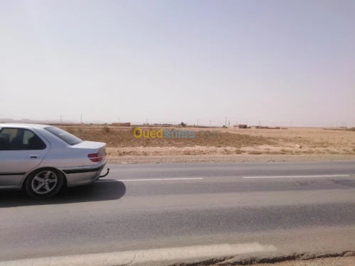 Vente Terrain Djelfa Sidi ladjel