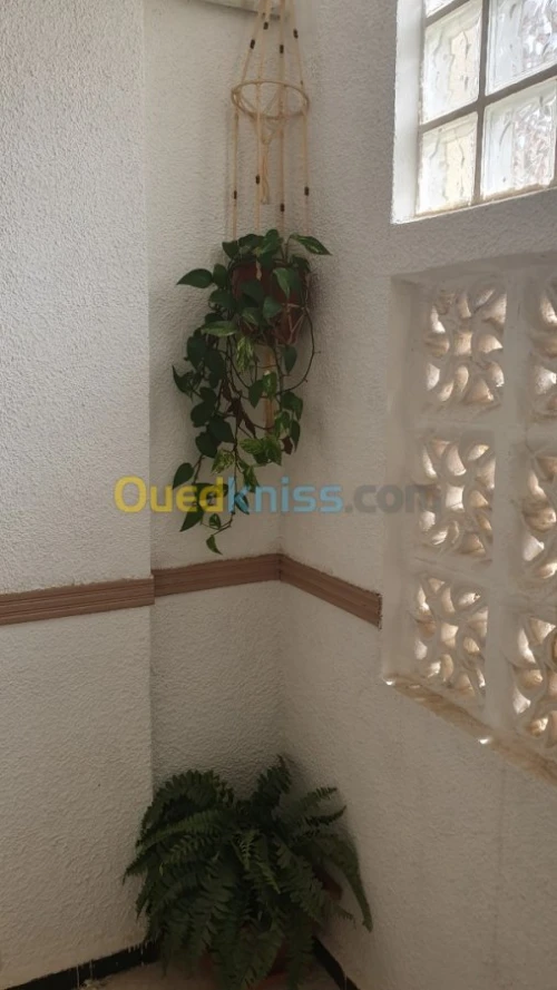 Vente Duplex F4 Alger El achour