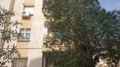 Vente Duplex F4 Alger El achour