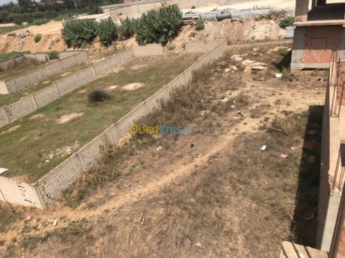Vente Terrain Boumerdes Ouled moussa