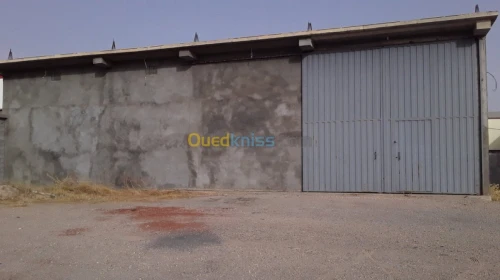 Location Hangar Setif El eulma