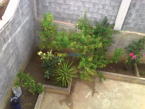 Vente Villa Constantine Constantine