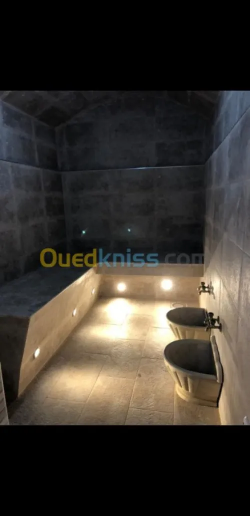 Vente Villa Alger Douera