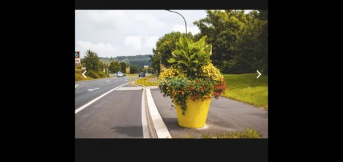 Pot de fleur jardiniere