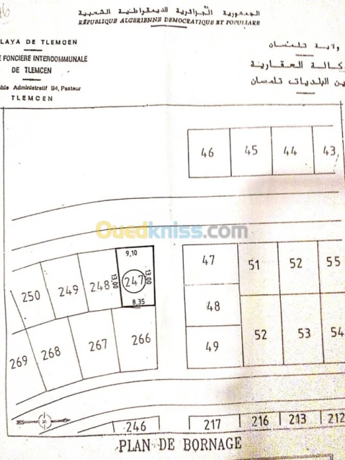 Vente Terrain Tlemcen Mansourah