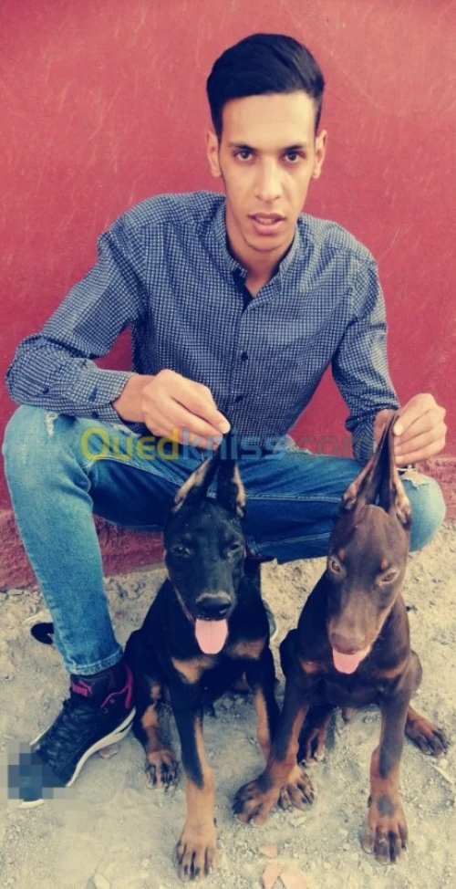 حي العمراني