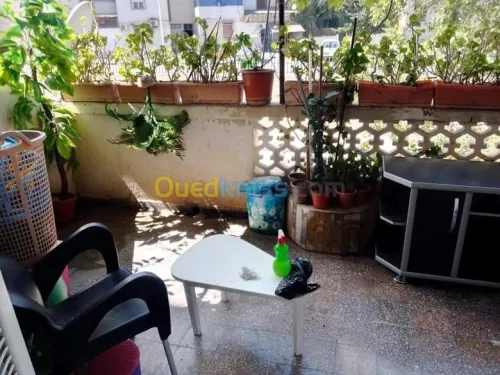 Vente Appartement F3 Setif Setif