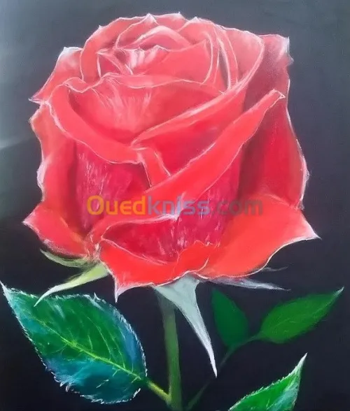 Tableaux d'Art, Peinture sur Toile