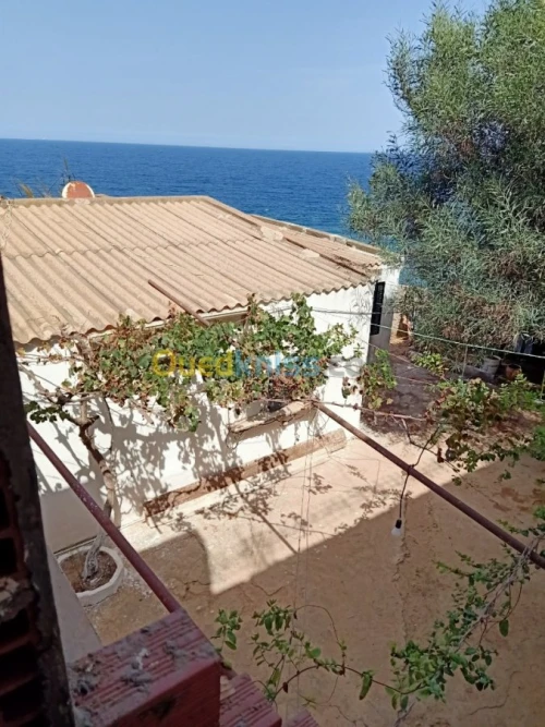 Location bien immobilier Tipaza Tipaza