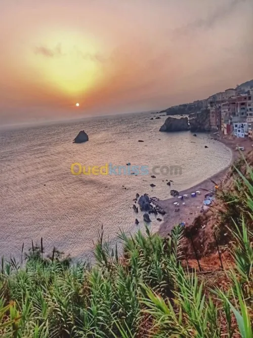 Location bien immobilier Tipaza Tipaza