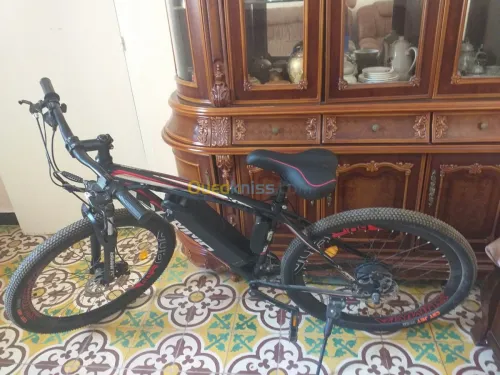 Velo electrique 