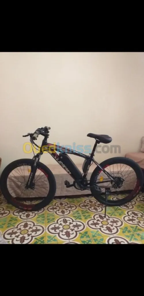 Velo electrique 
