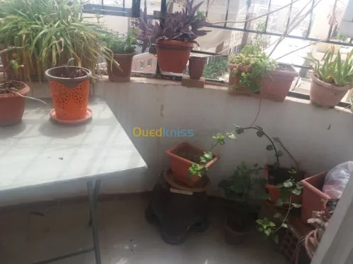Vente Appartement Setif Setif