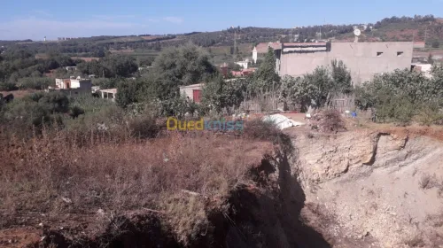 Vente Carcasse Boumerdes Corso