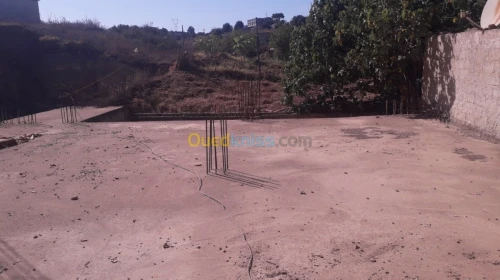 Vente Carcasse Boumerdes Corso