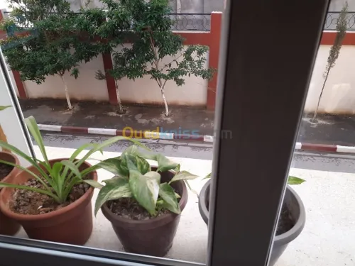 Vente Villa Alger Bab ezzouar